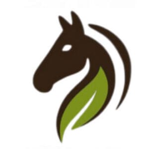 Group logo of Revive Ranch