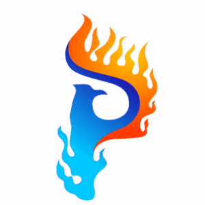 Group logo of Paradigm Point Wealth Management