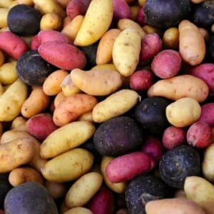 Organic Potatoes